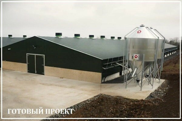 Этапы возведения птицефабрики от завода ВелесТент-стм